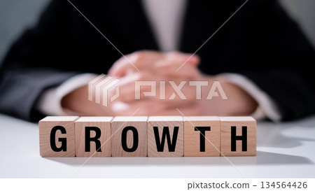 Growth on wooden block business success progress increase development 134564426