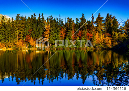 Calm autumn lake reflection with wooden pier at Strbske Pleso Calm autumn lake reflection with wooden pier at Strbske Pleso 134564526