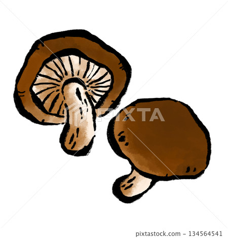 香菇 134564541