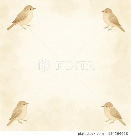 Small Bird Series: A light background with small birds in the four corners 134564628