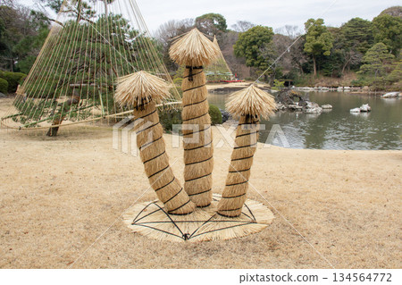 Winter enclosures being wrapped around the grounds in the Japanese gardens of Rikugien Winter enclosures being wrapped around the grounds in the Japanese gardens of Rikugien 134564772