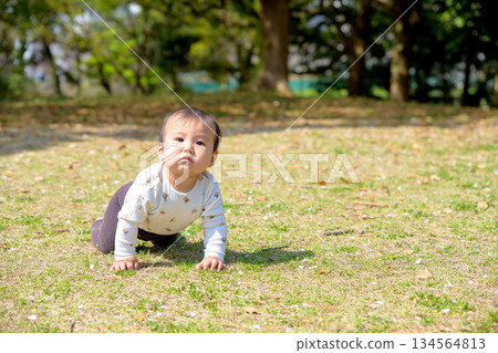 A baby crawling energetically on the grass in the park A baby crawling energetically on the grass in the park 134564813