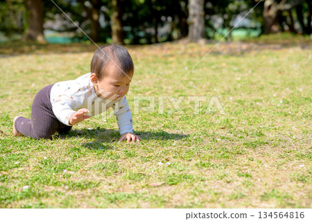 A baby crawling energetically on the grass in the park A baby crawling energetically on the grass in the park 134564816