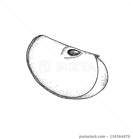 Slice of green apple isolated on white background. 134564879