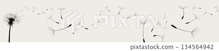 Minimal black dandelion seeds silhouette on light background symbolizing freedom and nature Minimal black dandelion seeds silhouette on light background symbolizing freedom and nature 134564942