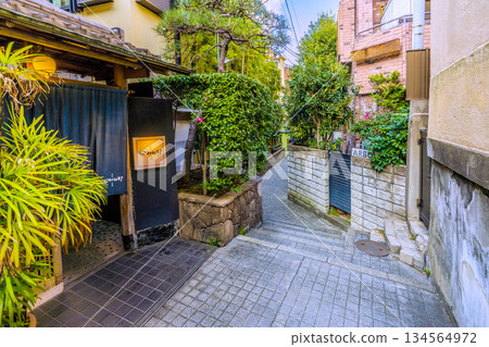 Tokyo cityscape in Japan: A city where tradition and modernity intersect... A town filled with emotion. Kagurazaka, overflowing with emotion. Overlooking Hyogo Yokocho and other areas. 134564972