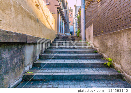 Tokyo cityscape in Japan: A city where tradition and modernity intersect... A town filled with emotion. Kagurazaka, overflowing with emotion. Overlooking Hyogo Yokocho and other areas. 134565140