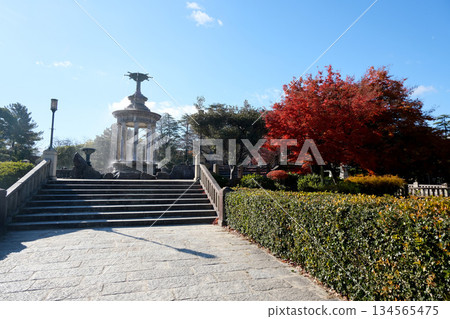 Nagoya City, Aichi Prefecture_Tsurumai Park 17_December 2024 134565475