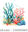 Colorful coral and seaweed watercolor illustration 134565669