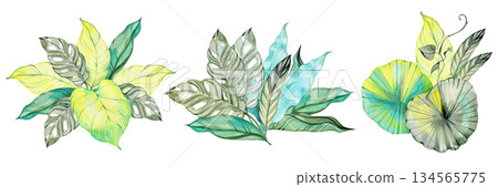 Three watercolor tropical leaf arrangements featuring monstera, caladium and exotic foliage. Perfect for wedding stationery, branding, posters, invitations, packaging and modern botanical design. 134565775