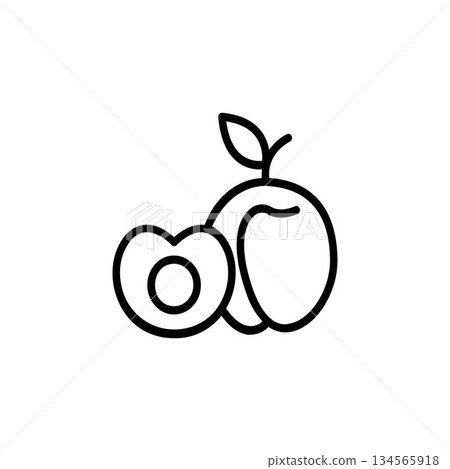 apricot vector icon. fruit icon outline style. perfect use for icon, logo, illustration, website, and more. icon design line style 134565918