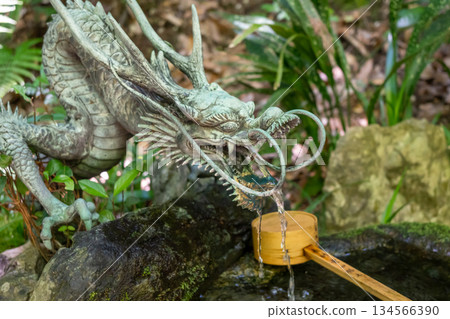 Bronze dragon chozuya at Mitaki-Dera temple in Hiroshima, Japan Bronze dragon chozuya at Mitaki-Dera temple in Hiroshima, Japan 134566390