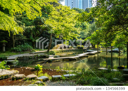 Tranquil view of Oyama Shrine Garden in Kanazawa, Japan 134566399