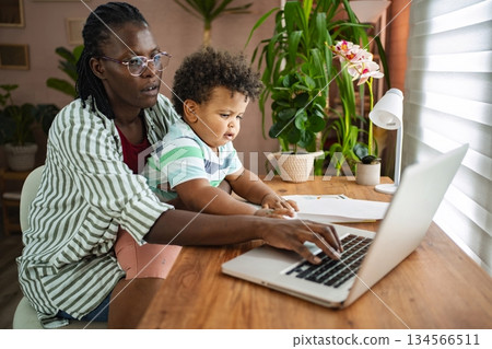 Working together on a laptop in a cozy home office 134566511