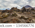 Volcanic Landscape, Tongariro 134566776