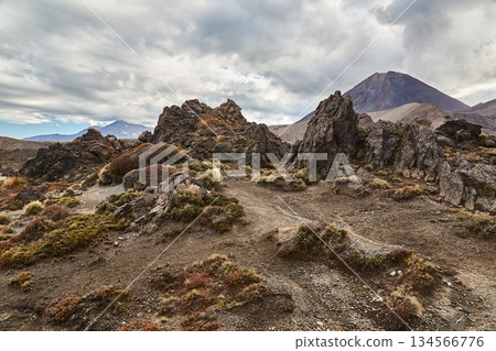 Volcanic Landscape, Tongariro Volcanic Landscape, Tongariro 134566776
