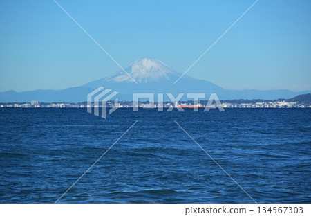 從千葉縣金谷港眺望富士山 從千葉縣金谷港眺望富士山 134567303