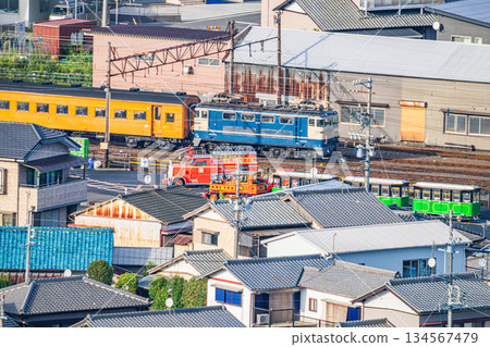 島田市(靜岡縣) 島田市(靜岡縣) 134567479