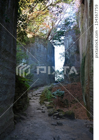 千葉縣 Nokogiriyama Cut 千葉縣 Nokogiriyama Cut 134567759