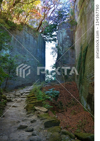 千葉縣 Nokogiriyama Cut 134567760