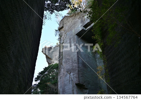 千葉縣 Nokogiriyama Cut 千葉縣 Nokogiriyama Cut 134567764