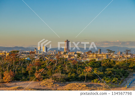Hamamatsu Cityscape (Shizuoka Prefecture) Hamamatsu Cityscape (Shizuoka Prefecture) 134567798