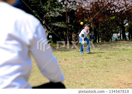 Parent and child playing catch in the park 134567819
