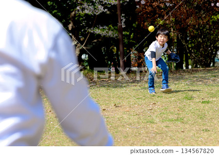 Parent and child playing catch in the park. Trimming Parent and child playing catch in the park. Trimming 134567820