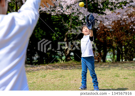 Parent and child playing catch in the park 134567916