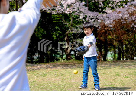 Parent and child playing catch in the park 134567917