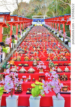 Katsuura Big Hinamatsuri (Doll Festival) Chiba 134568222
