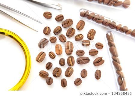 Coffee science concept roasted beans in test tubes with inspection tools for research and evaluation 134568455