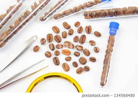 Quality control in coffee production roasted beans under scientific examination using lab equipment 134568480