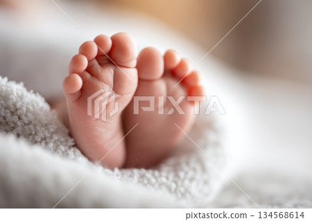 Baby feet nestled in soft blanket during peaceful indoor afternoon 134568614