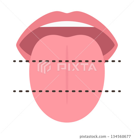 Illustration of the tongue divided into three equal parts for innervation Illustration of the tongue divided into three equal parts for innervation 134568677