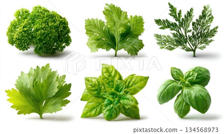 Fresh herbs display vibrant colors and textures arranged artistically on a clean surface Fresh herbs display vibrant colors and textures arranged artistically on a clean surface 134568973