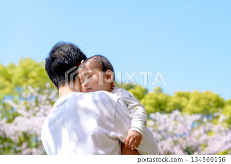 櫻花盛開，一家人其樂融融：寶寶在父親懷里安睡 134569156