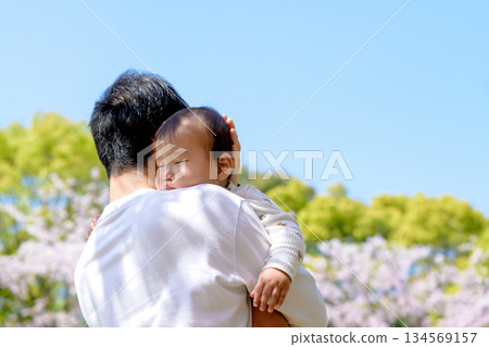 櫻花盛開，一家人其樂融融：寶寶在父親懷里安睡 134569157