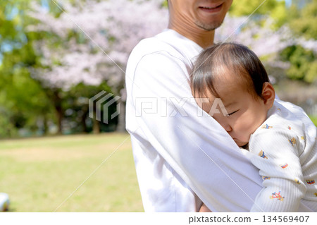 Family image with cherry blossoms in full bloom: Baby sleeping in father's arms 134569407