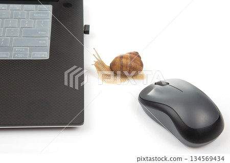 The concept of slow internet and working with a computer The concept of slow internet and working with a computer 134569434