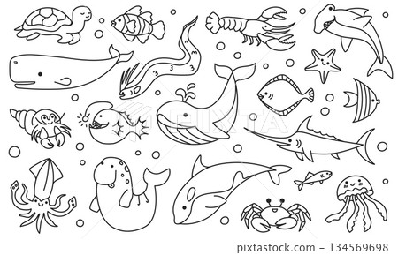 Sea animal doodle, line fish and marine creature, ocean cartoon underwater sketch. Octopus and seahorse, dolphin and turtle, whale and lobster, shark and crab aquatic undersea funny vector set 134569698