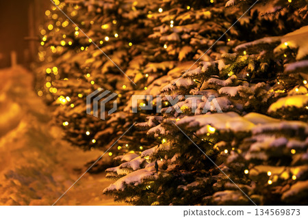 Snow-covered trees adorned with warm lights create a winter wonderland during holiday season Snow-covered trees adorned with warm lights create a winter wonderland during holiday season 134569873