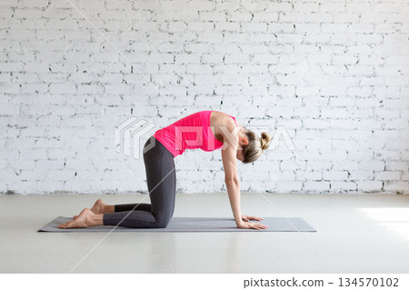 Cat pose. Slim Caucasian woman practice warm-up stretching exercise standing on all fours in loft fitness studio indoor. 134570102