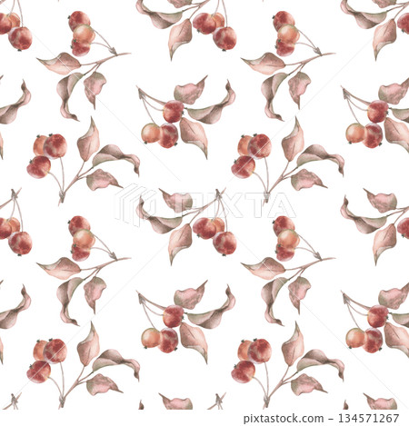 Autumn botanical watercolor seamless pattern with crab apple sprigs and dried leaves. Hand painted autumn design in vintage style. October seasonal decor with herbarium for forest themed packaging. Autumn botanical watercolor seamless pattern with crab apple sprigs and dried leaves. Hand painted autumn design in vintage style. October seasonal decor with herbarium for forest themed packaging. 134571267