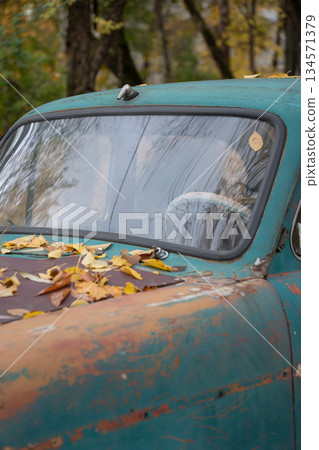 Weathered vintage car windshield with peeling turquoise paint is covered with yellow autumn leaves in a quiet forest setting Weathered vintage car windshield with peeling turquoise paint is covered with yellow autumn leaves in a quiet forest setting 134571379