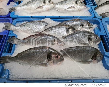 Dorado fish are arranged neatly on ice in blue boxes at a supermarket. Customers can view the fresh fish for purchase. The setting shows a well-stocked seafood section. 134572506