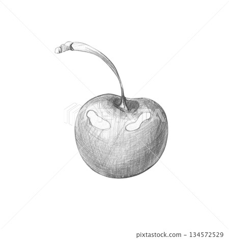 Simple graphite pencil drawing of single cherry berry on its stem. Realistic botanical sketch, isolated on white background. Illustration for healthy food concept, organic labels, and design element Simple graphite pencil drawing of single cherry berry on its stem. Realistic botanical sketch, isolated on white background. Illustration for healthy food concept, organic labels, and design element 134572529