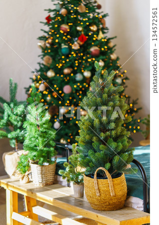 Small decorative Christmas Tree in woven basket in cozy holiday Interior background 134572561
