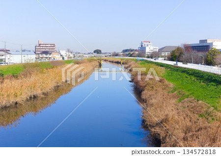 埼玉縣川口市芝川自行車道，2025年12月 134572818
