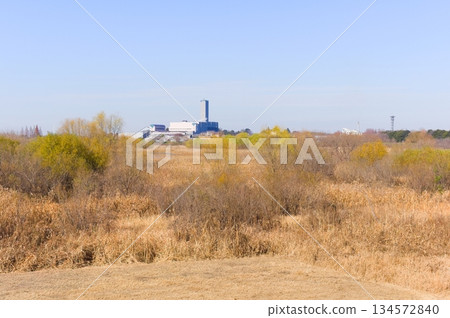 埼玉縣河口市芝川第一規範池附近，2025年12月 134572840